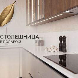 /stocks/stoleshnitsa-v-podarok_/