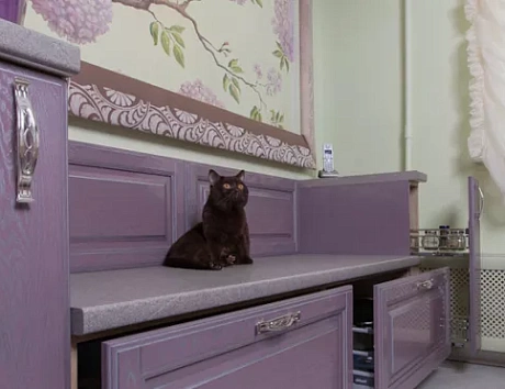 Фиолетовая кухня в Егорьевске